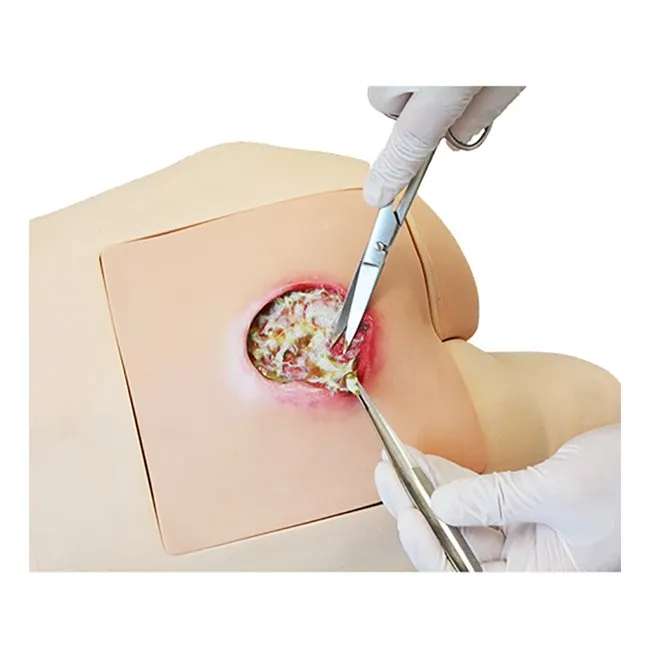 Pressure Sores Simulator
