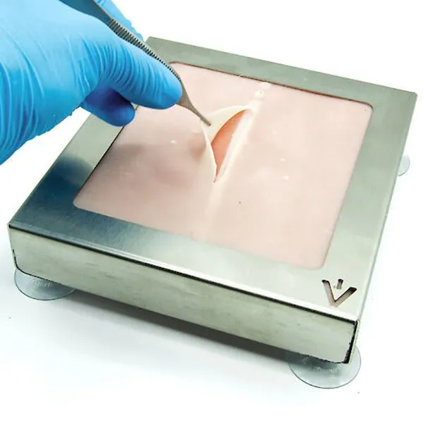 Rat Linea Alba Surgical Suture Training Pad for Veterinary Education