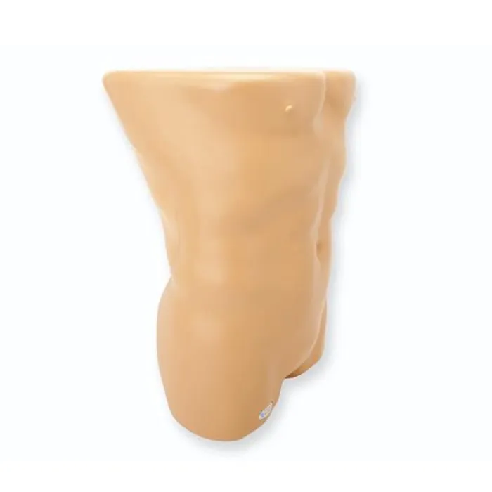 Renal Biopsy Ultrasound Training Model