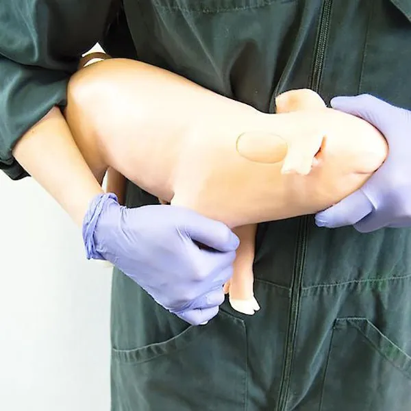 Replacement IM Injection Module for Piglet 'Castro'