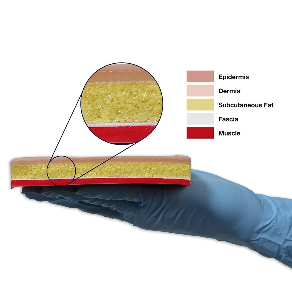 Replacement Tissue Pad 5" X 8" for Suture Skills Trainer - Light Skin