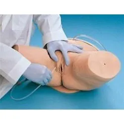 Replacement Urethral Catheter - Package of 10