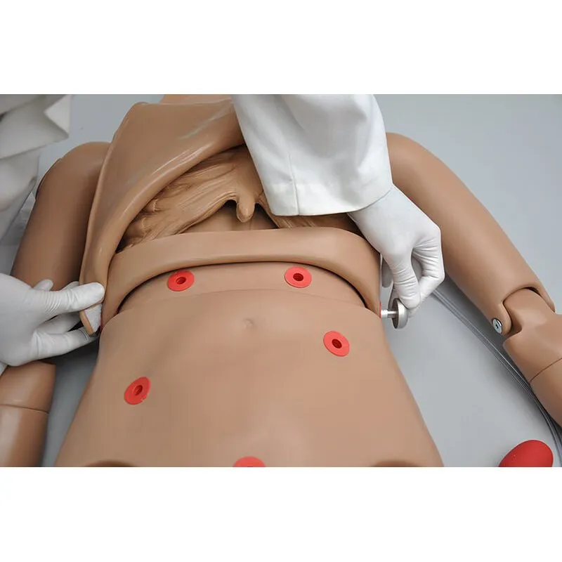 Simon® Full Body CPR Patient Simulator, Medium