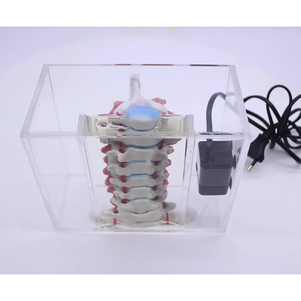 Spine Surgery Simulator For Surgical Training, Cervical