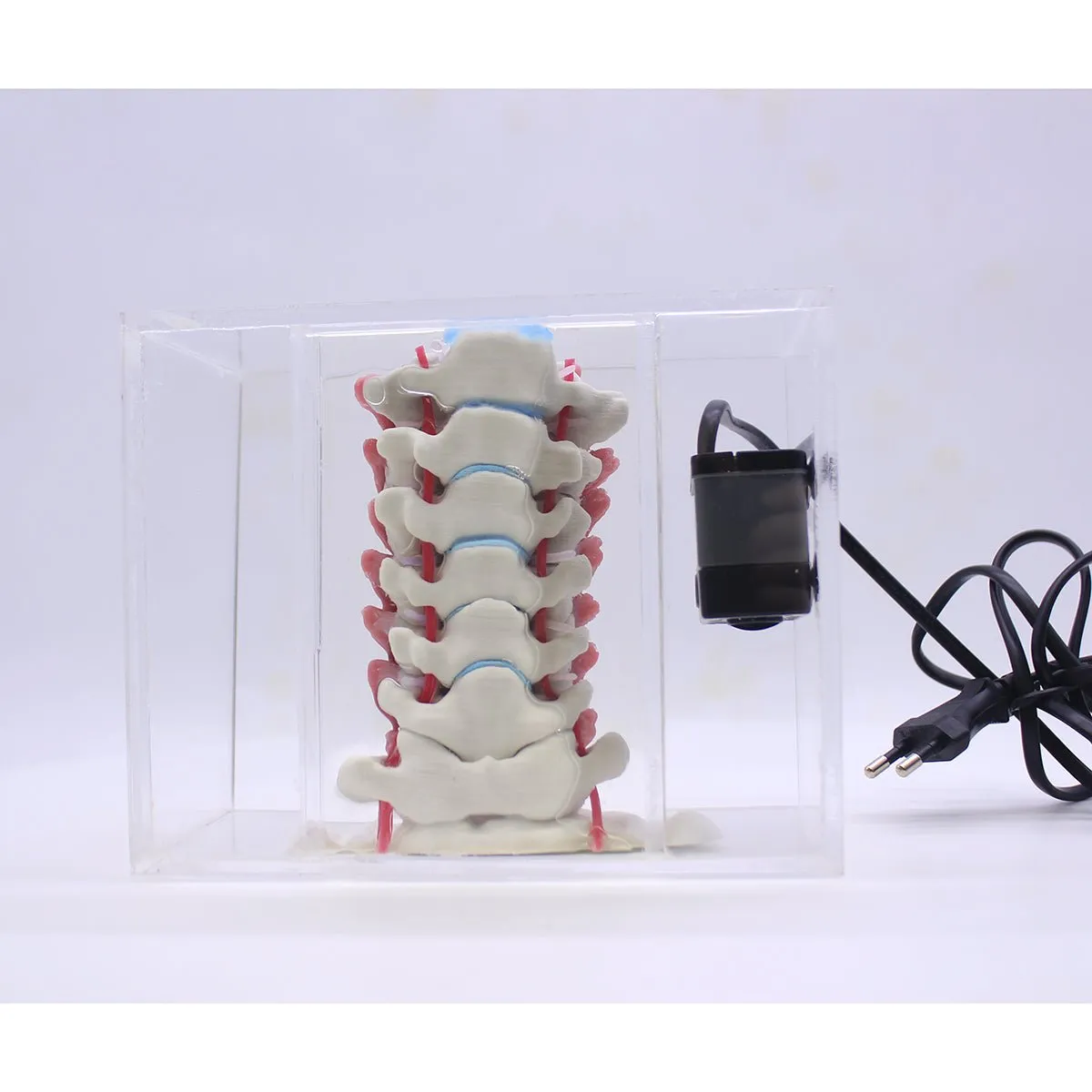 Spine Surgery Simulator For Surgical Training, Cervical