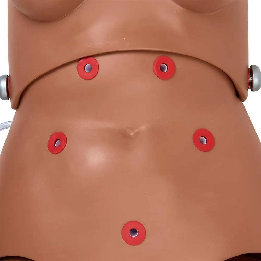 Susie® Simon®  Patient Care Simulator without Ostomy, Medium