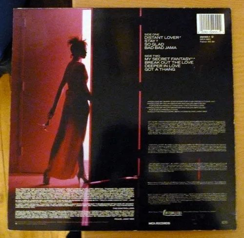 The Controllers (2) - Stay (LP, Album) (NM or M-)