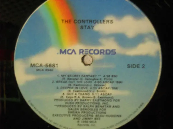 The Controllers (2) - Stay (LP, Album) (NM or M-)