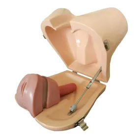 Transanal Endoscopic Surgery Simulator, Proctology Module