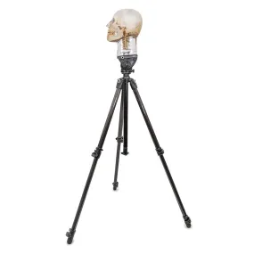 Tripod for X-Ray Phantom Head