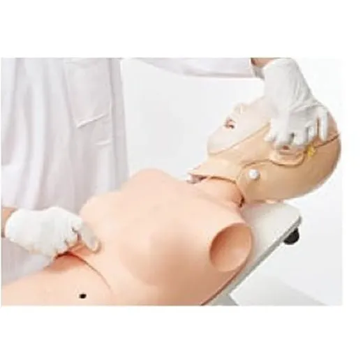 Tube Feeding Trainer 2 with Soft Facial Skin