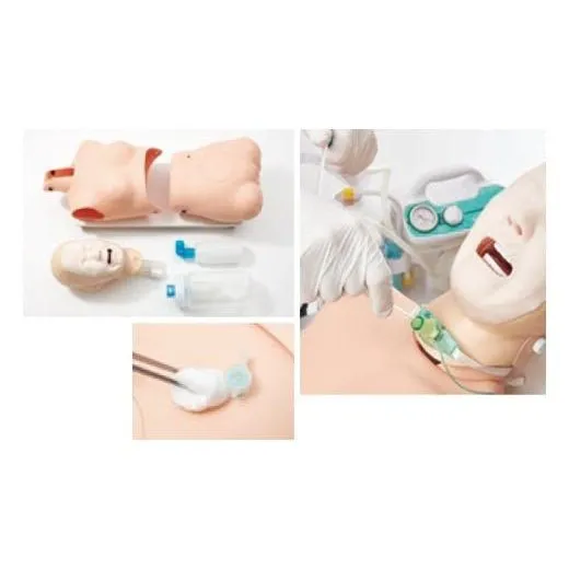 Tube Feeding Trainer 2 with Soft Facial Skin