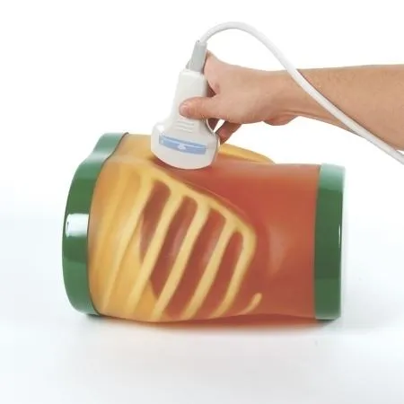 Ultrasound Exam 'ECHOZY' without Pathologies, Full Set