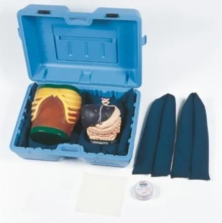 Ultrasound Exam 'ECHOZY' without Pathologies, Full Set