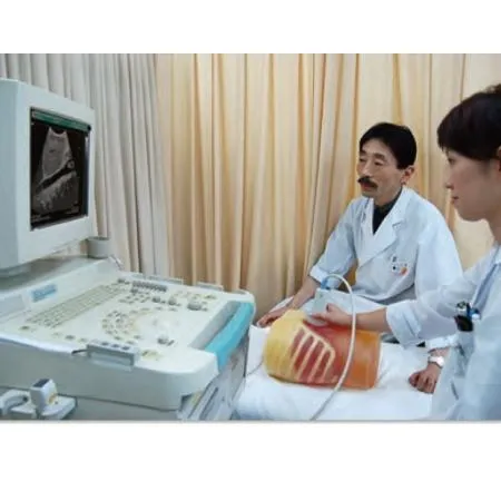 Ultrasound Exam 'ECHOZY' without Pathologies, Full Set