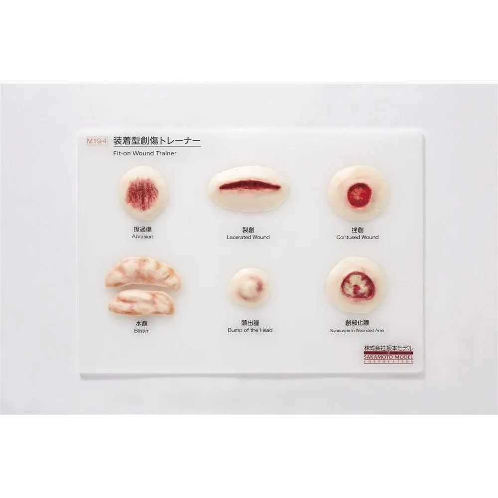 Wearable-type Wound Care Trainer